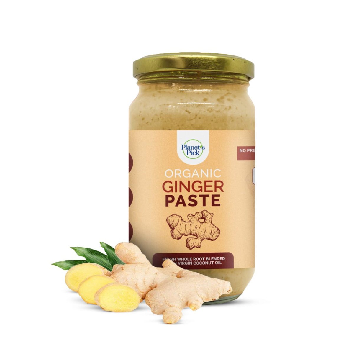 Ginger Paste - Image 1