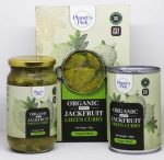 Young Jackfruit Green Curry